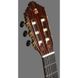 Классическая гитара Alhambra 10 Premier в кейсе 4/4