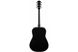 Гитара акустическая FENDER CD-60 V3 WN BLACK, Черный