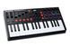 Міді-клавіатура M-Audio Oxygen Pro Mini MU-0091 фото 3