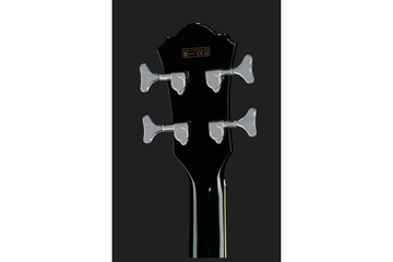 IBANEZ AEB8E BLACK Бас-гітара акустична фото 1