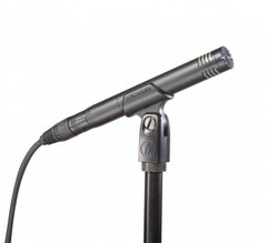 Студийный микрофон Audio-Technica AT2031 фото 1