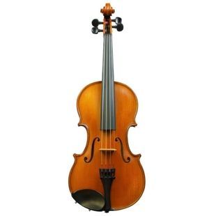 Скрипка Gliga Violin Gliga I (1/2) GL-0195 фото