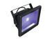 EUROLITE LED IP FL-30 COB UV EL-0792 фото 1