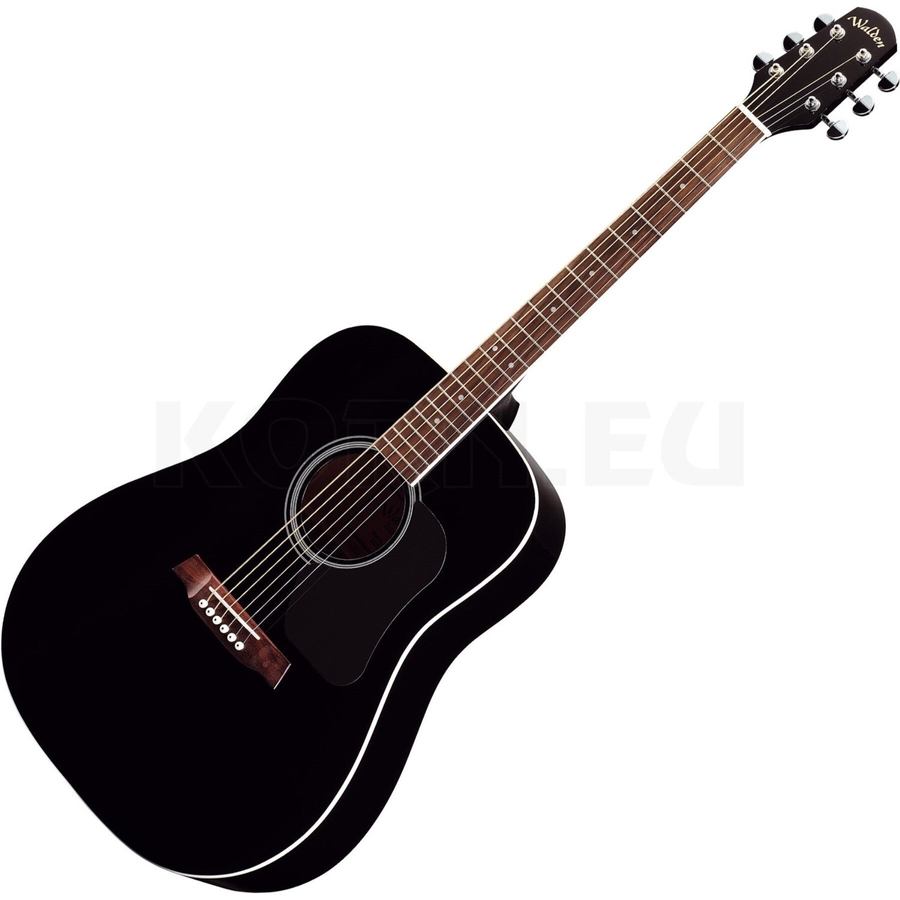 Гітара акустична Walden D350BG фото 2