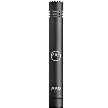 Інструментальний мікрофон AKG Perception P170 фото 1