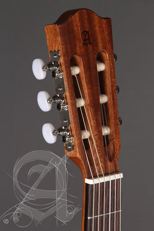 Классическая гитара Z-Nature CW EZ BAG с чехлом фото 5