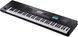 Синтезатор Roland JUNO-D7 RO-2984 фото 1