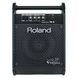 Мониторная система Roland PM-10