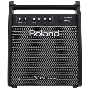 Персональний монітор Roland PM100 фото 1