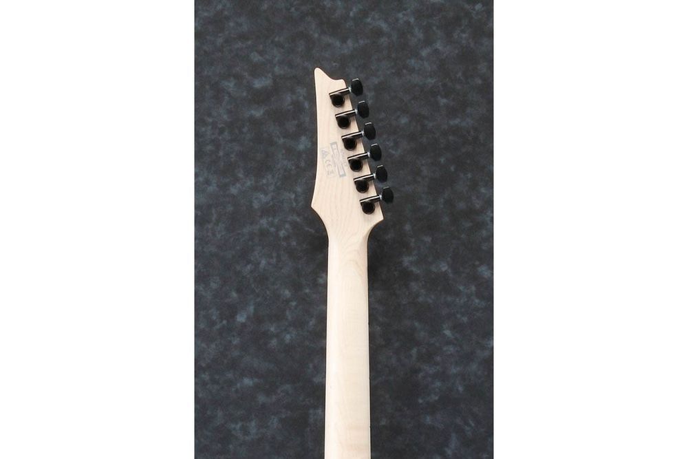 IBANEZ RG421EX BKF Электрогитара IB-0185 фото