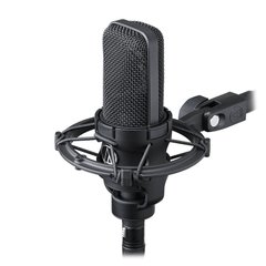 Студийный микрофон Audio-Technica AT4033A фото 1