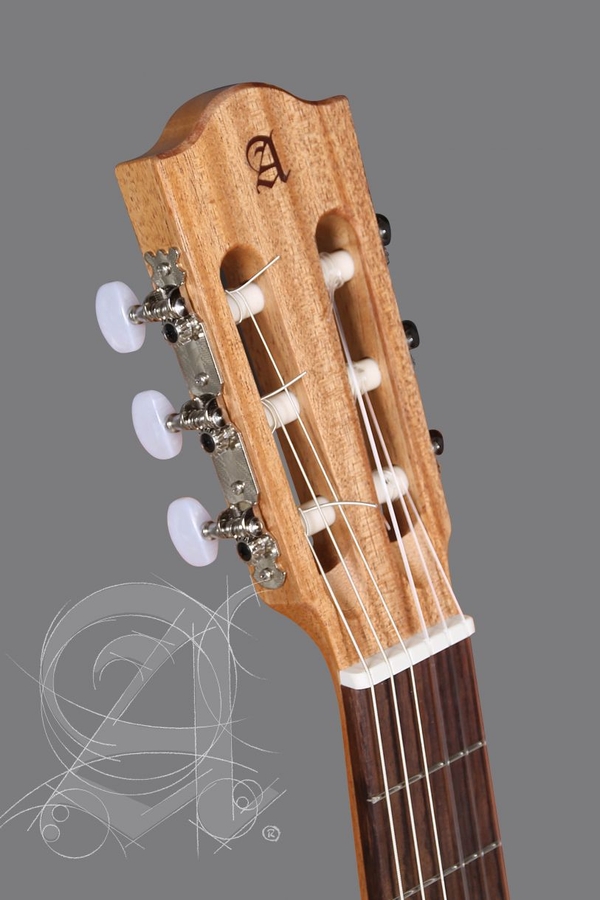 Классическая гитара Alhambra Z-Nature BAG с чехлом 4/4 фото 5
