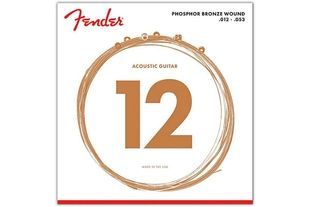 Струни для акустичних гітар Fender 60L FE-0023 фото