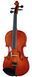Скрипка STENTOR 1018C 3/4 с кейсом ST-0556 фото 1
