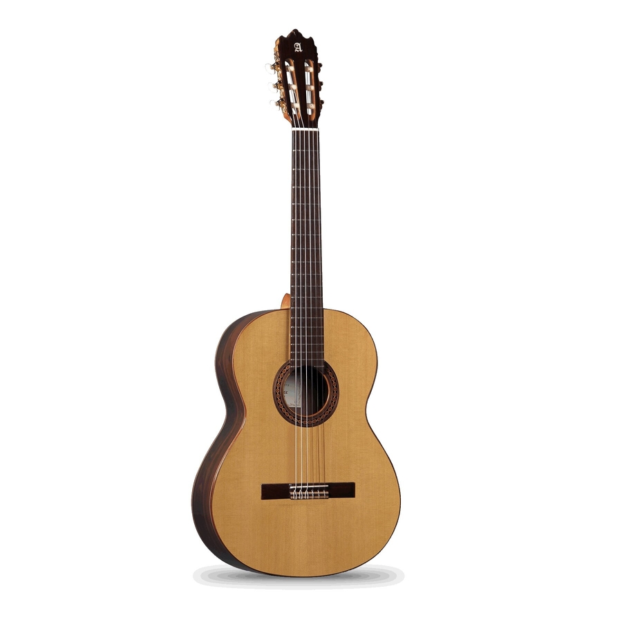 Класична гітара Alhambra Iberia Ziricote BAG 4/4 фото 1