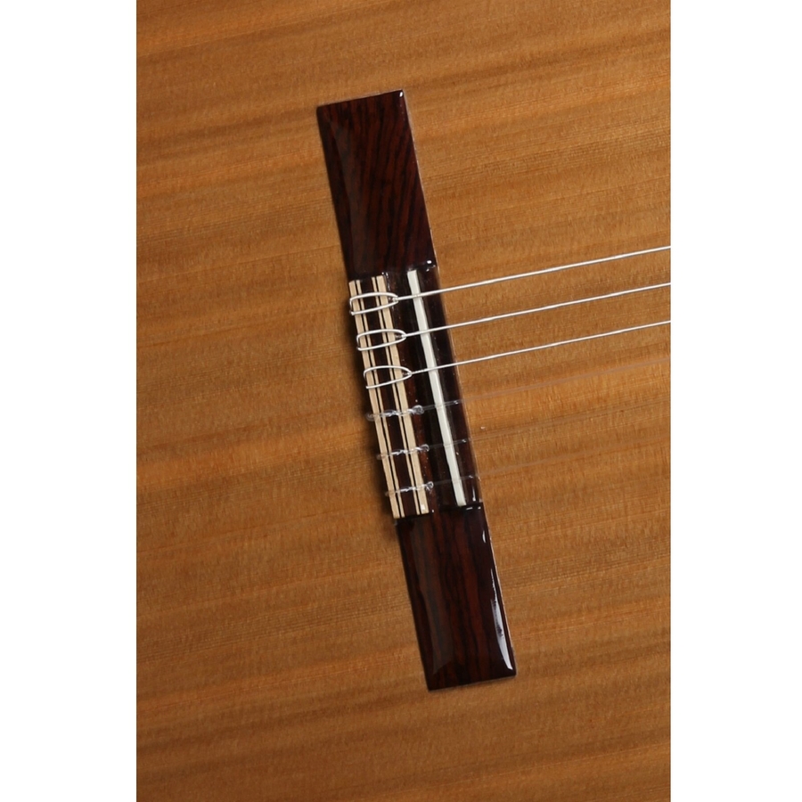 Класична гітара Alhambra Iberia Ziricote BAG 4/4 фото 5