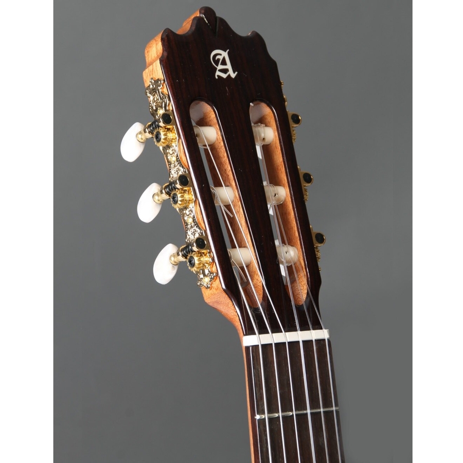 Класична гітара Alhambra Iberia Ziricote BAG 4/4 фото 4