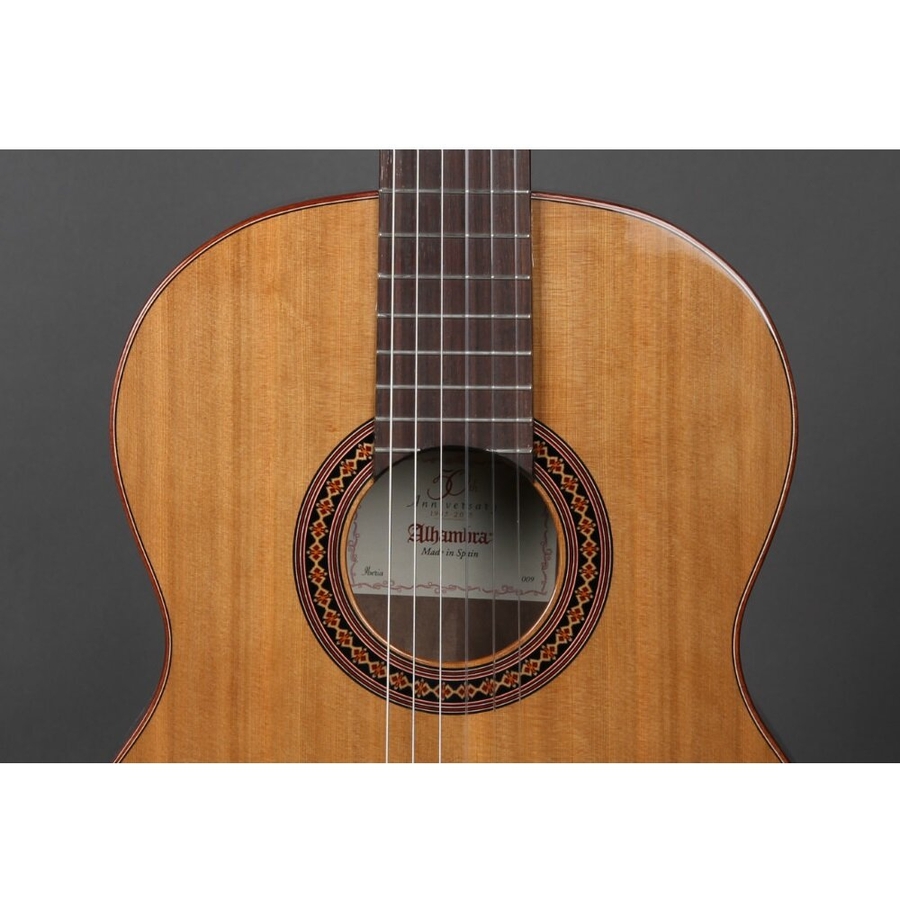 Класична гітара Alhambra Iberia Ziricote BAG 4/4 фото 3