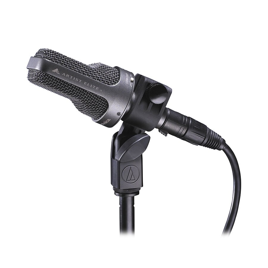 Инструментальный микрофон Audio-Technica AE3000 фото 1