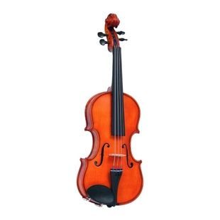 Скрипка ученическая GLIGA Violin 1/16 Genial I GL-0184 фото