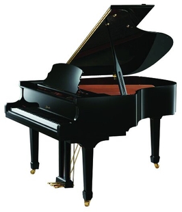 Рояль RITMULLER GH160R Ebony фото 1