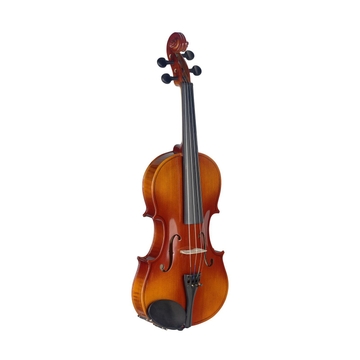 Скрипка 4/4 Stagg VL-4/4 фото 1