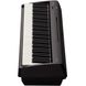 Цифровое пианино Roland FP-10 BK, Черный матовый, Только педаль