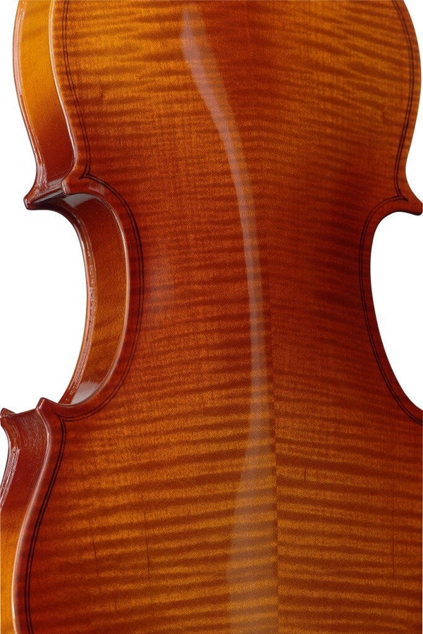 Скрипка 4/4 Stagg VN-4/4 L фото 2
