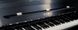 Цифровое пианино Kawai CA-99 EP, Черный полированный, Есть