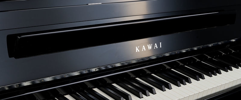 Цифровое пианино Kawai CA-99 EP фото 9