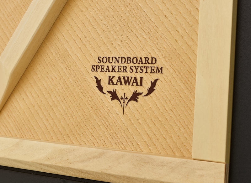 Цифровое пианино Kawai CA-99 EP фото 18