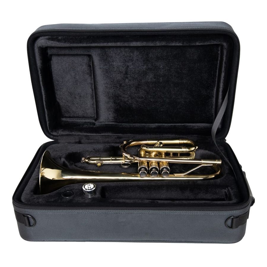 Gator GL-CORNET-23 new-0123 фото