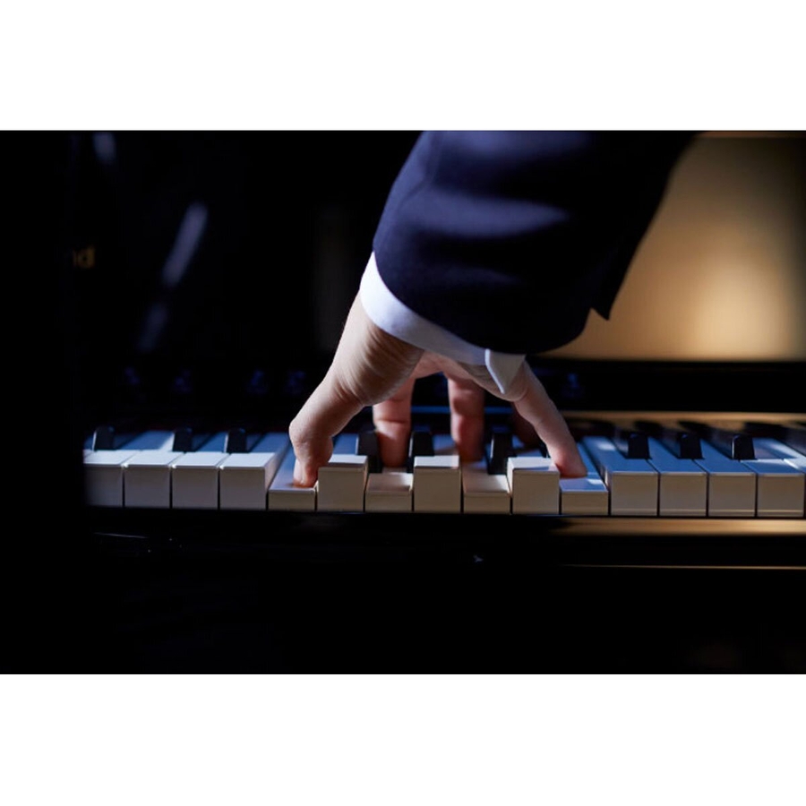 Цифрове піаніно Roland LX706 фото 7