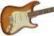 FENDER AMERICAN PERFORMER STRATOCASTER RW HONEY BURST Електрогітара FE-0198 фото 4