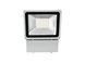 EUROLITE LED IP FL-100 3000K EL-0773 фото 4