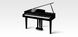 Цифровой рояль Kawai DG30, Черный полированный