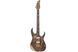 IBANEZ RG8520SLTD NTF Электрогитара IB-0201 фото