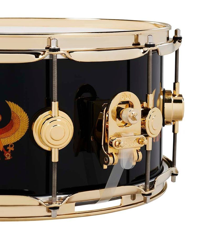 DW DREX6514SSG-EWFEarth, Wind & Fire DW ICON Snare DW-X305 фото