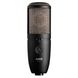 Mікрофон AKG Perception P420, Чорний матовий