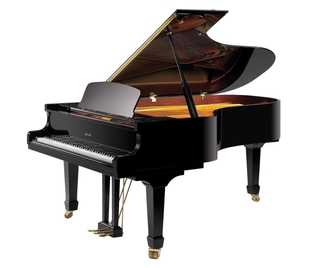 Рояль RITMULLER GH212 Ebony фото 1