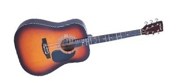 Гітара акустична FALCON FG100SB фото 1