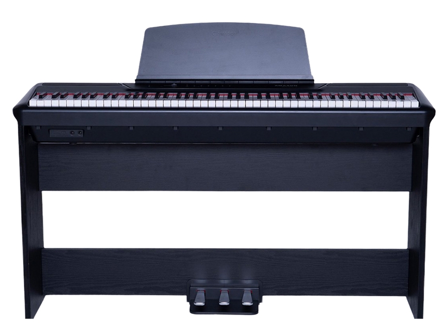 Компактное цифровое фортепиано Pearl River P60BK+"W" стойка+тройная педаль фото 1