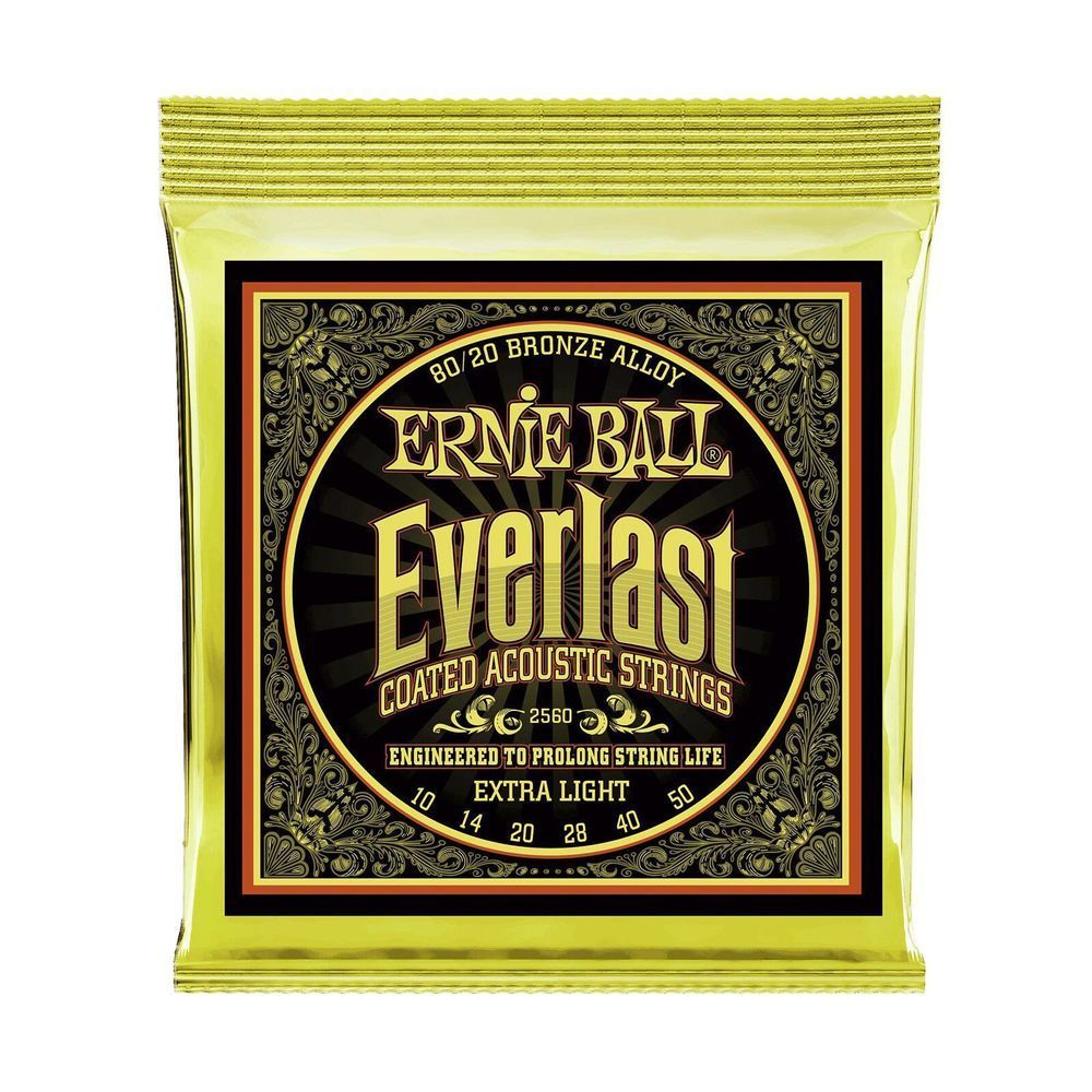 Струни для акустичної гітари 10-50 Ernie Ball P02560 EB-0015 фото