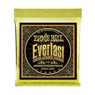 Струни для акустичної гітари 10-50 Ernie Ball P02560 EB-0015 фото