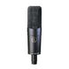 Студійний мікрофон Audio-Technica AT4060a, Чорний, Нема