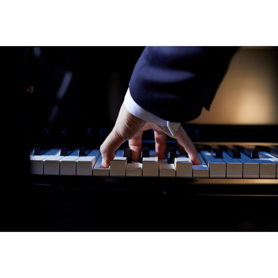 Цифровое пианино Roland LX708 фото 9