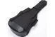 IBANEZ ICB540 BK Чохол для класичної гітари IB-0136 фото