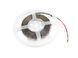 EUROLITE LED Strip 300 5m 3528 3000K 12V EL-1061 фото 2