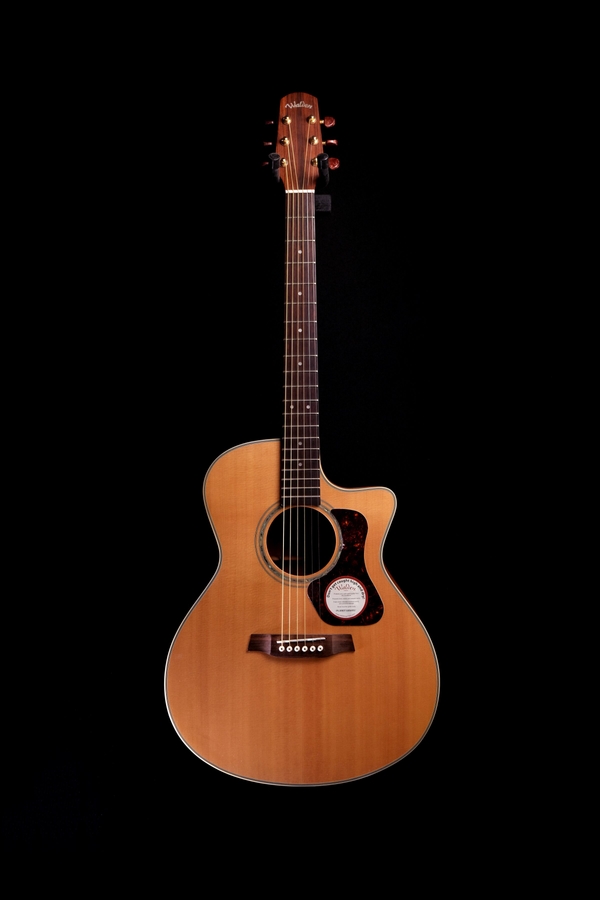 Акустична гітара Walden G740CE фото 1