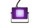 EUROLITE LED IP FL-10 SMD purple EL-0767 фото 3